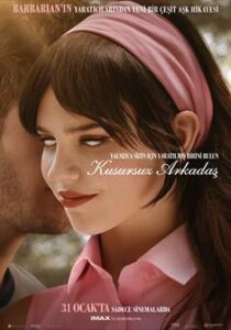 Kusursuz Arkadaş film posteri